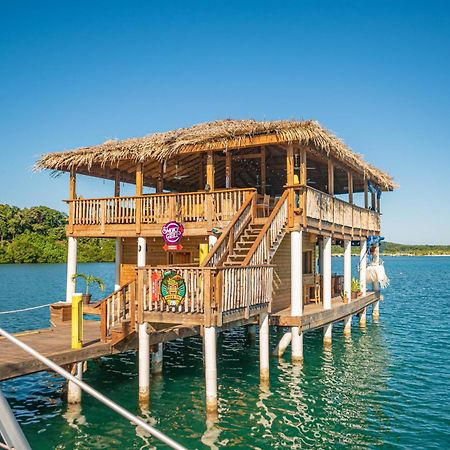 Wikkid Resort Dixon Cove Kültér fotó