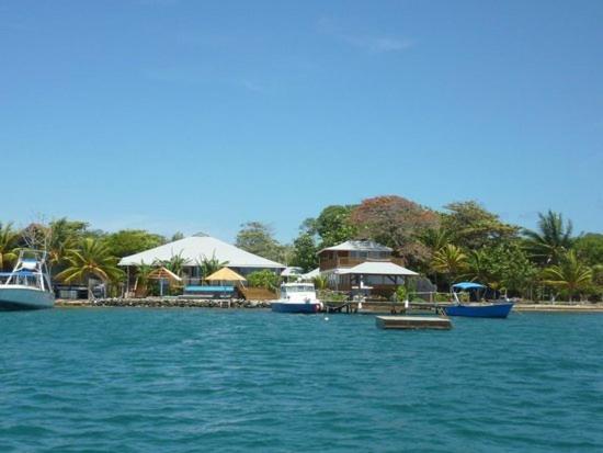 Wikkid Resort Dixon Cove Kültér fotó