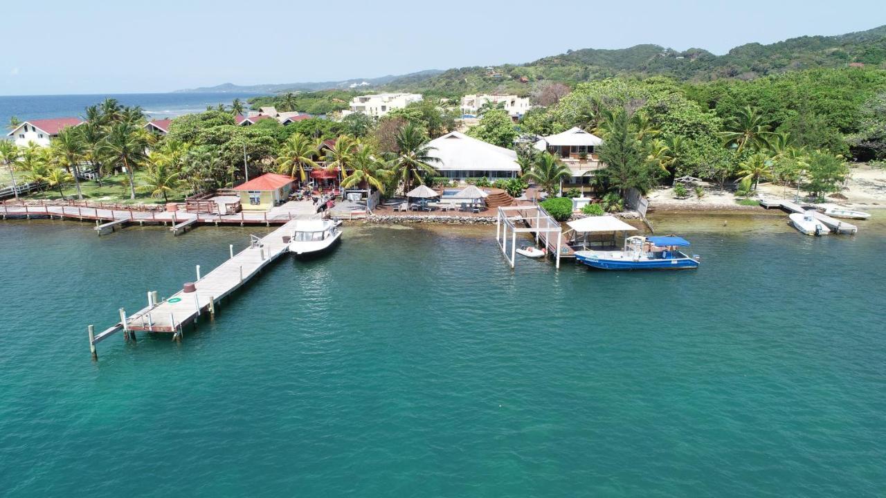 Wikkid Resort Dixon Cove Kültér fotó