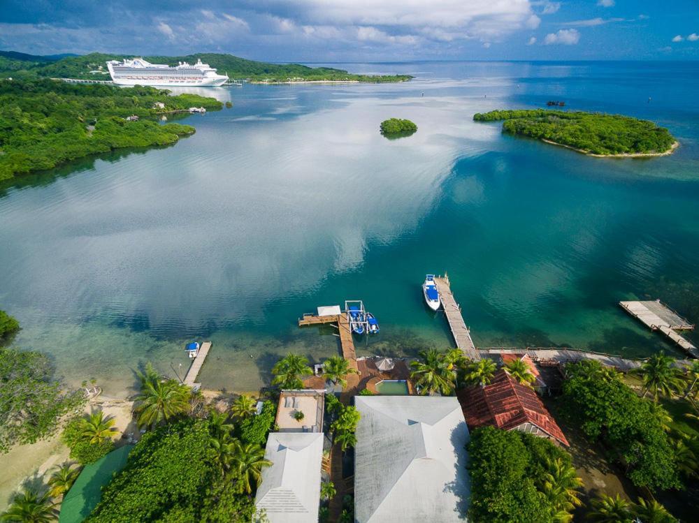Wikkid Resort Dixon Cove Kültér fotó