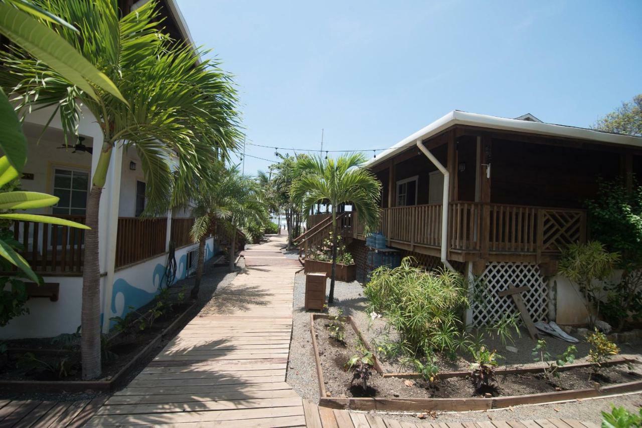 Wikkid Resort Dixon Cove Kültér fotó