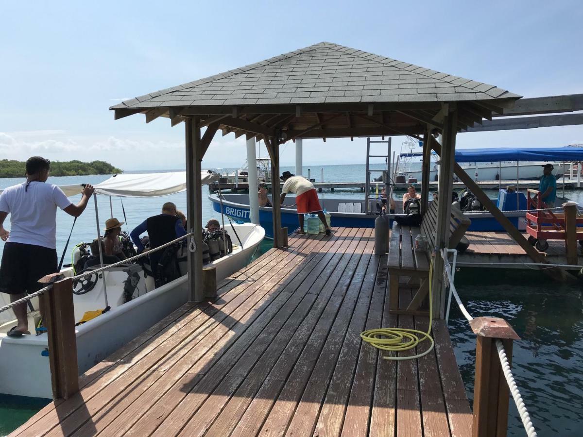 Wikkid Resort Dixon Cove Kültér fotó